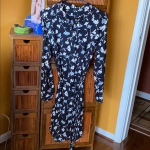 Ann Taylor long sleeve button down dress